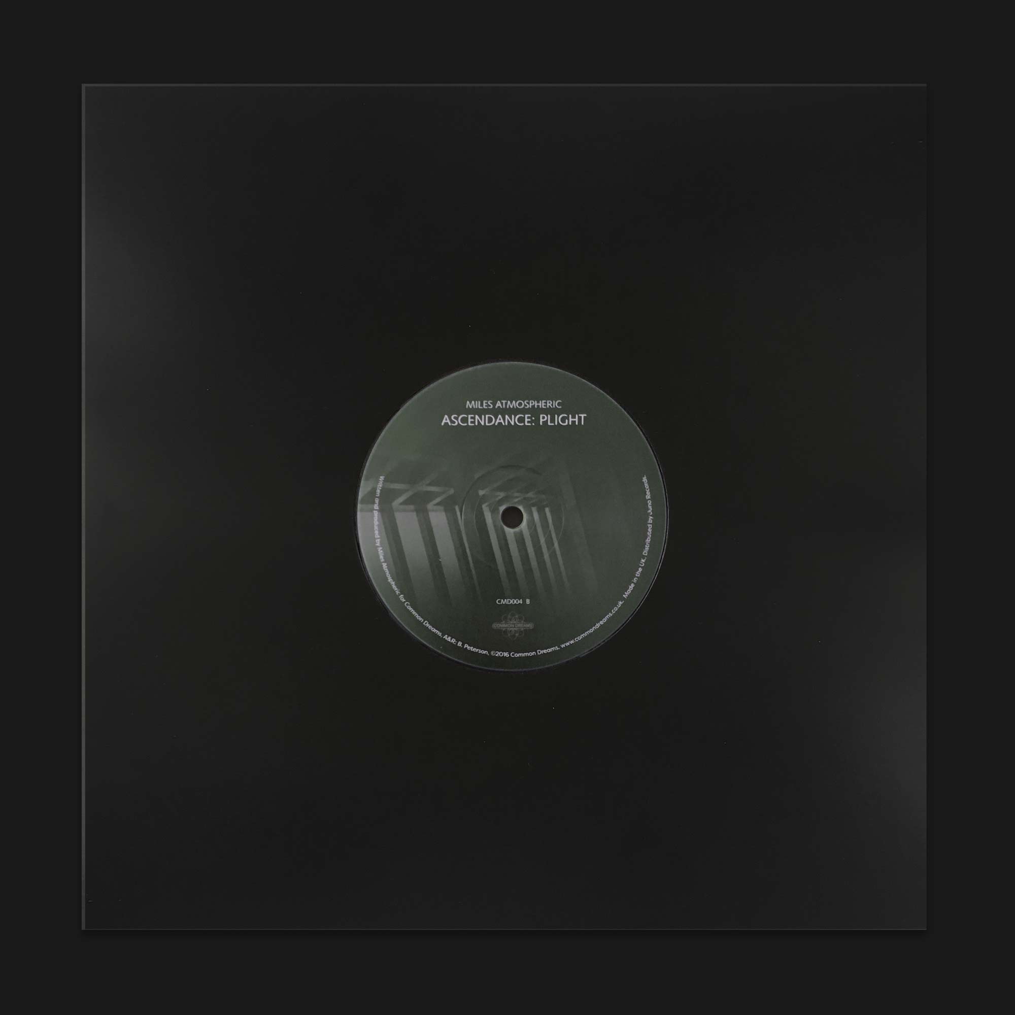 Common Dreams 4 - jacket Common Dreams "4" by Miles Atmospheric