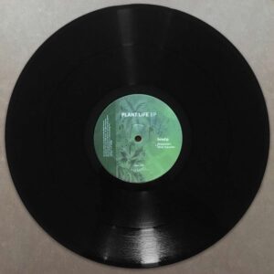 Plant Life EP by Brad P, side A
